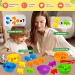 Animal Cognition Montessori Sensory Educational Toys Rainbow Sort Matching Game Learn and Train Fine Motor Skills Boy Girl Gifts - Image 5