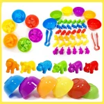 Animal Cognition Montessori Sensory Educational Toys Rainbow Sort Matching Game Learn and Train Fine Motor Skills Boy Girl Gifts - Image 3