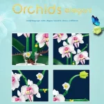Orchid Flowers Building Blocks Bonsai Plant Model Bricks Bouquet Flower Blocks Creative Romantic Home Decoration Kids Toys Gifts - Image 5